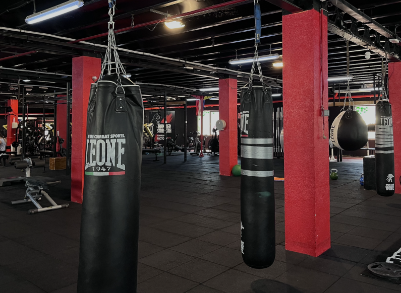 Escuela de Boxeo
